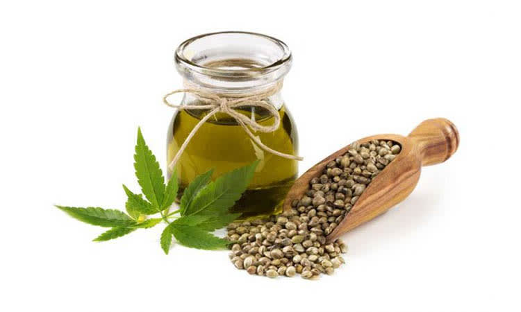 fumayin biji ganja hemp pakan burung