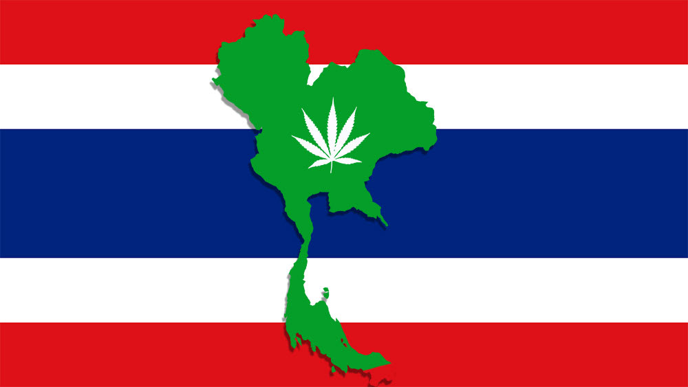 Sejarah Ganja di Thailand