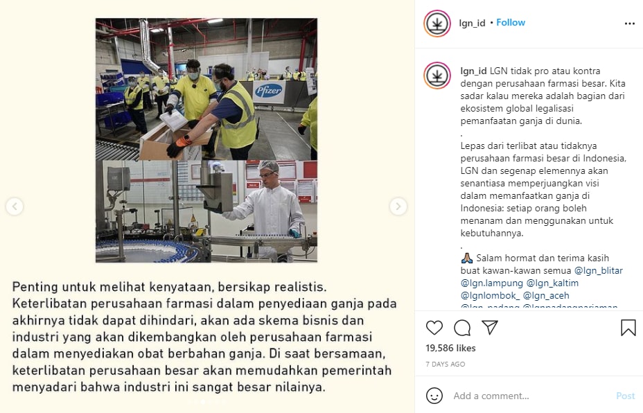 Politik Legalisasi Ganja: Menimbang Manfaat, Risiko, dan Implikasinya di Indonesia Politik Legalisasi Ganja: Menimbang Manfaat, Risiko, dan Implikasinya di Indonesia