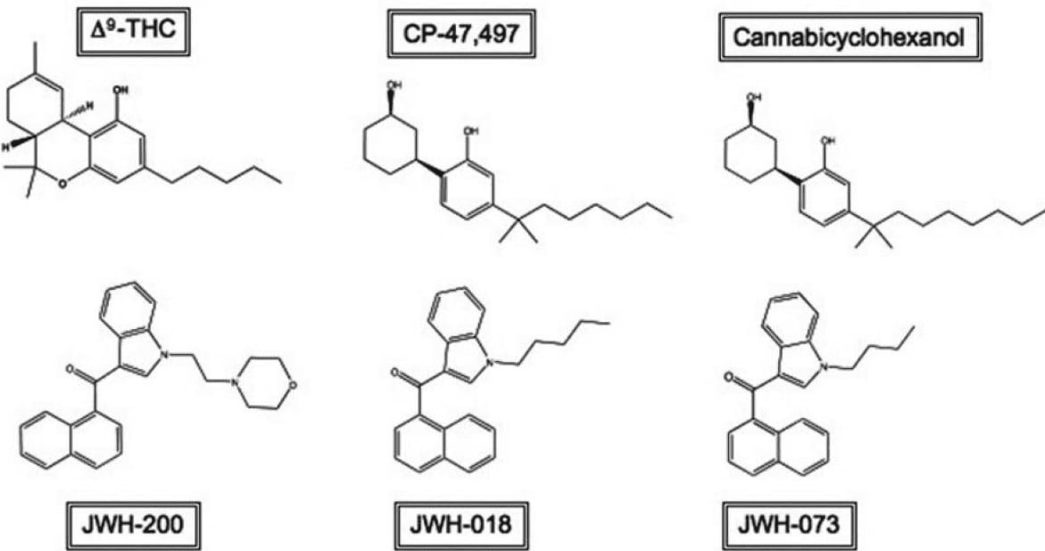 penelitian senyawa ganja sintetis