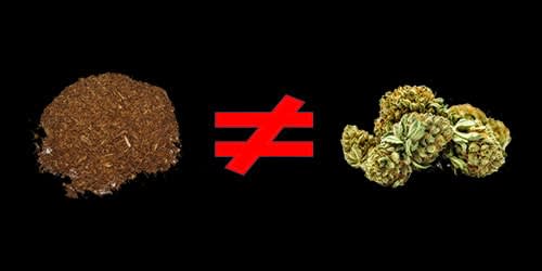 tembakau sintetis bukan ganja | bacaganja