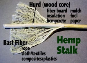 manfaat hemp serat hemp