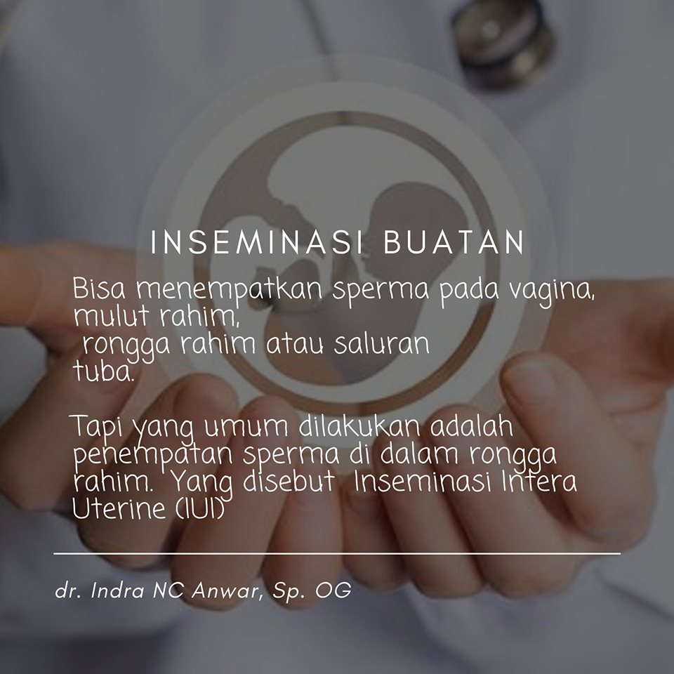 inseminasi buatan