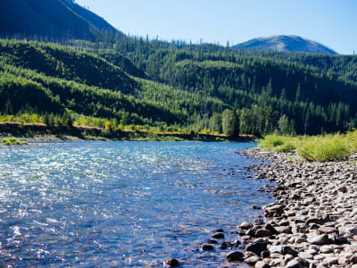 North Fork Flathead River Campsite - Outside West Glacier