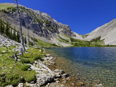 Our Lake Hike (also known as Hidden Lake) photo 4