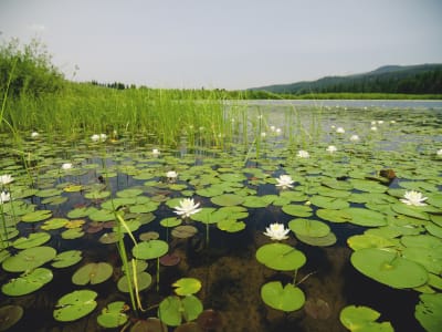 Clearwater River Float and Trail