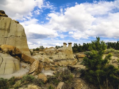 Makoshika State Park photo 4