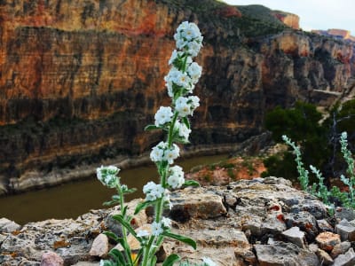 Bighorn Canyon National Recreation Area photo 6