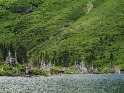 Bullhead Lake, GNP photo 2