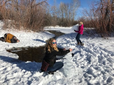 Spring Meadow Lake State Park