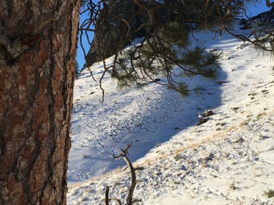 Tower Rock State Park photo 3