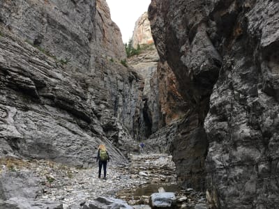 Muddy Creek Falls photo 4