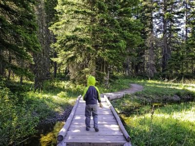 Paradise Point GNP
