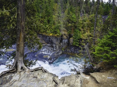 McDonald Falls Hike, GNP