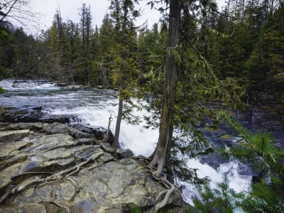 McDonald Falls Hike, GNP photo 2