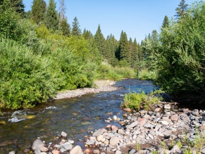 Rat Lake Trailhead Primitive Camp Sites photo 9