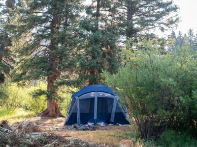 Rat Lake Trailhead Primitive Camp Sites photo 11