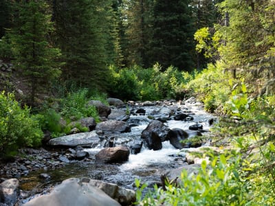 Portal Creek Campsite - Near Big Sky, Montana photo 2