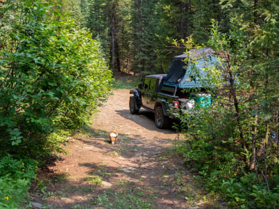 Portal Creek Campsite - Near Big Sky, Montana photo 12