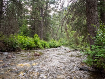 Campsite on Mill Creek — In the Tobacco Root Mountains photo 3