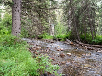 Campsite on Mill Creek — In the Tobacco Root Mountains photo 5