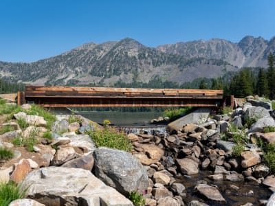 Branham Lakes Campground and Picnic Area photo 6