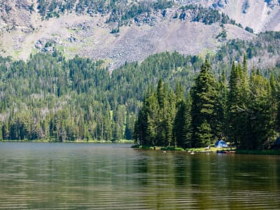 Branham Lakes Campground and Picnic Area photo 8