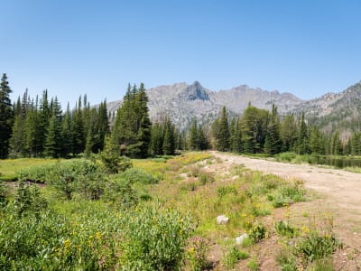 Branham Lakes Campground and Picnic Area photo 13