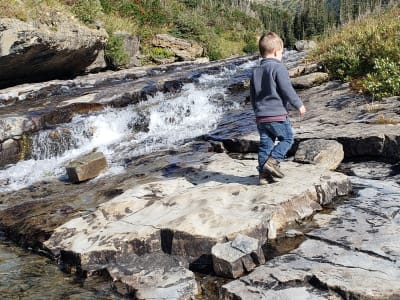 Piegan Pass Trail (Glacier National Park)