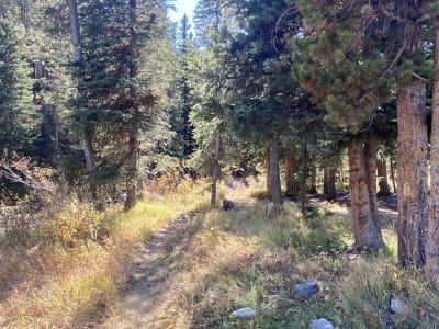 Campsite on Rock Creek — Near Red Lodge, MT photo 2
