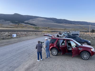 Tom Miner Basin (Roadside Viewing Area for Bears) photo 3