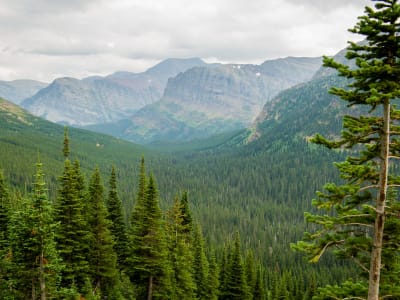 Iceberg Lake Trail - Glacier National Park photo 6