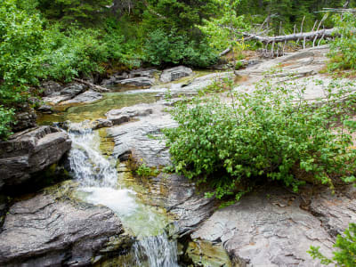 Iceberg Lake Trail - Glacier National Park photo 11