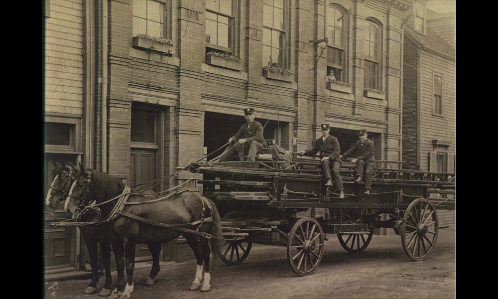 Ladder Cart