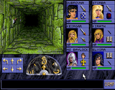 The picture shows the dungeons's eleventh level.