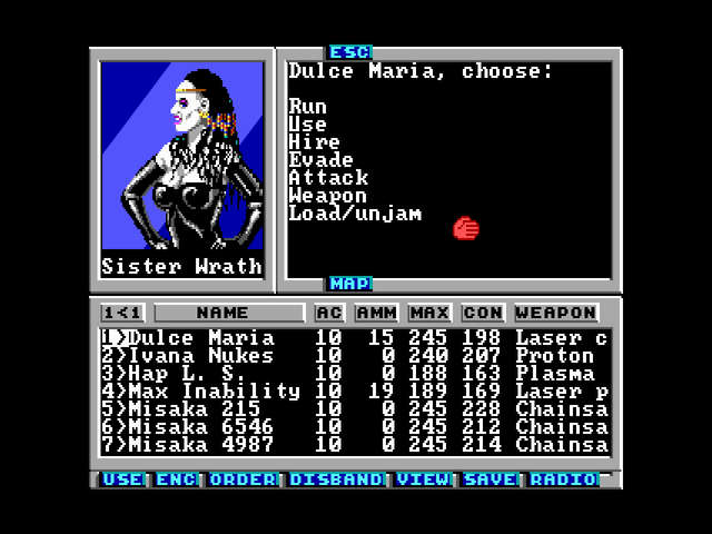 A screenshot showing the battle screen.