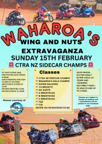 Wings and Nuts Extravaganza