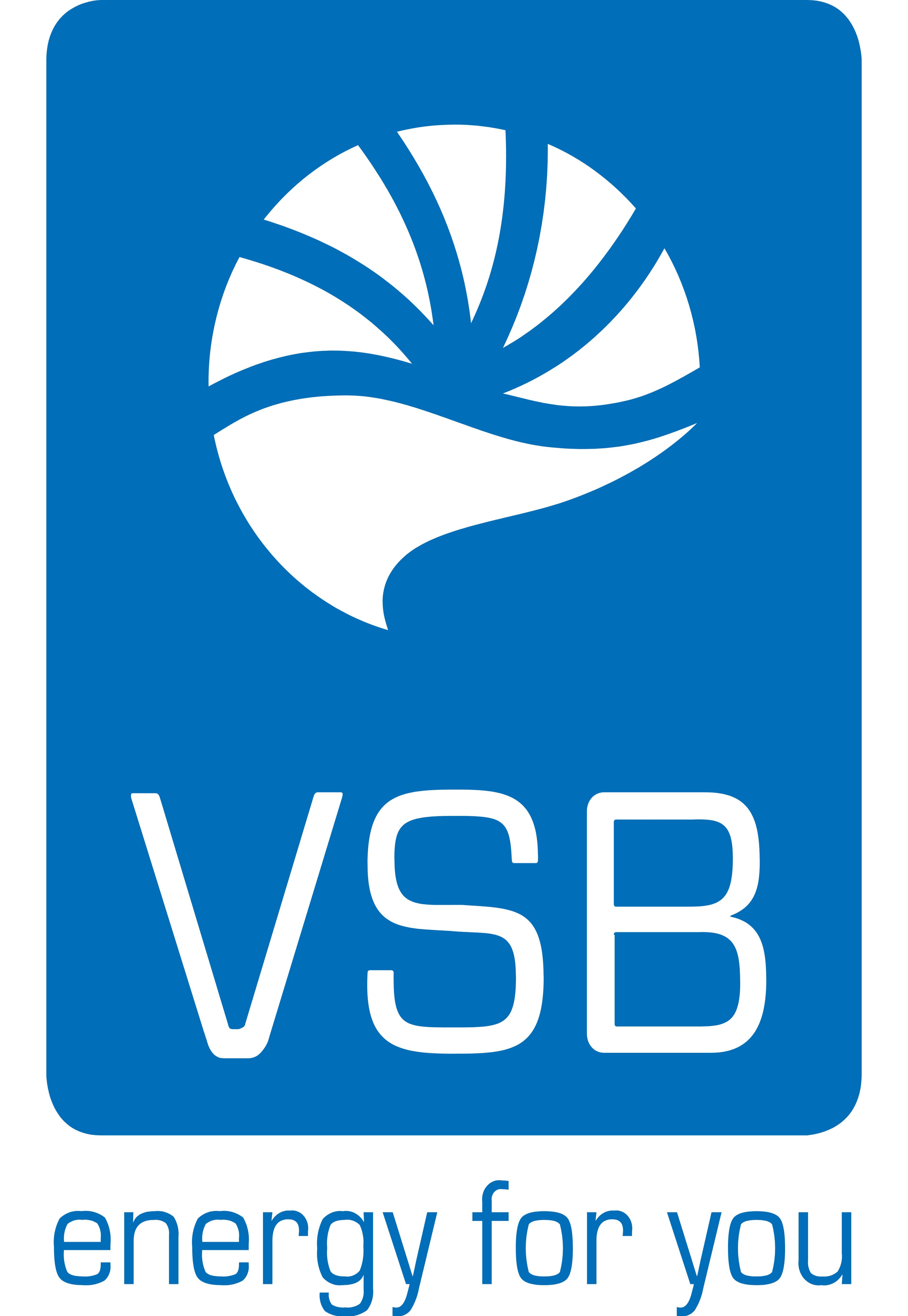 VSB Group logo