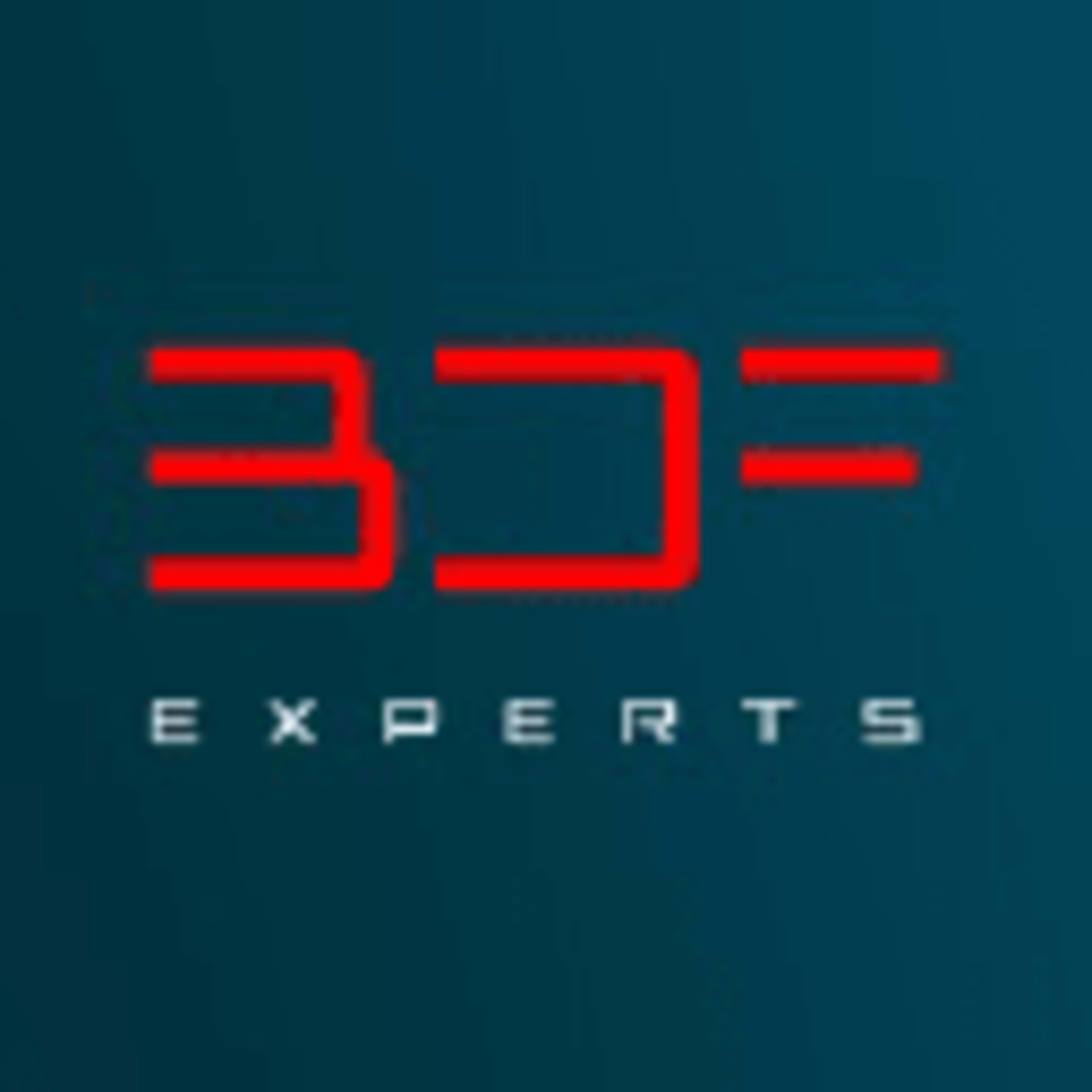 BDF EXPERTS logo