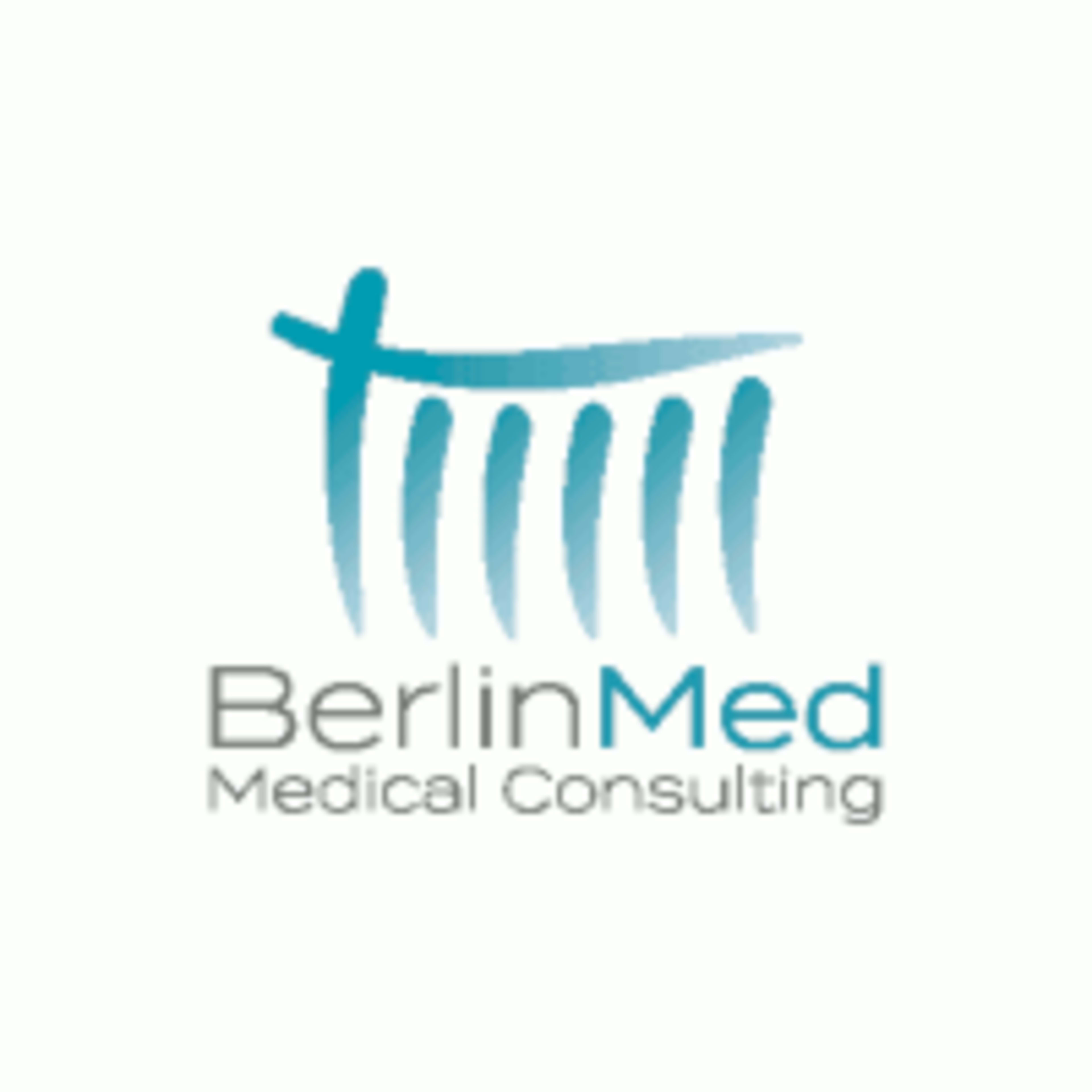 BMMC BerlinMed Medical Consulting GmbH logo