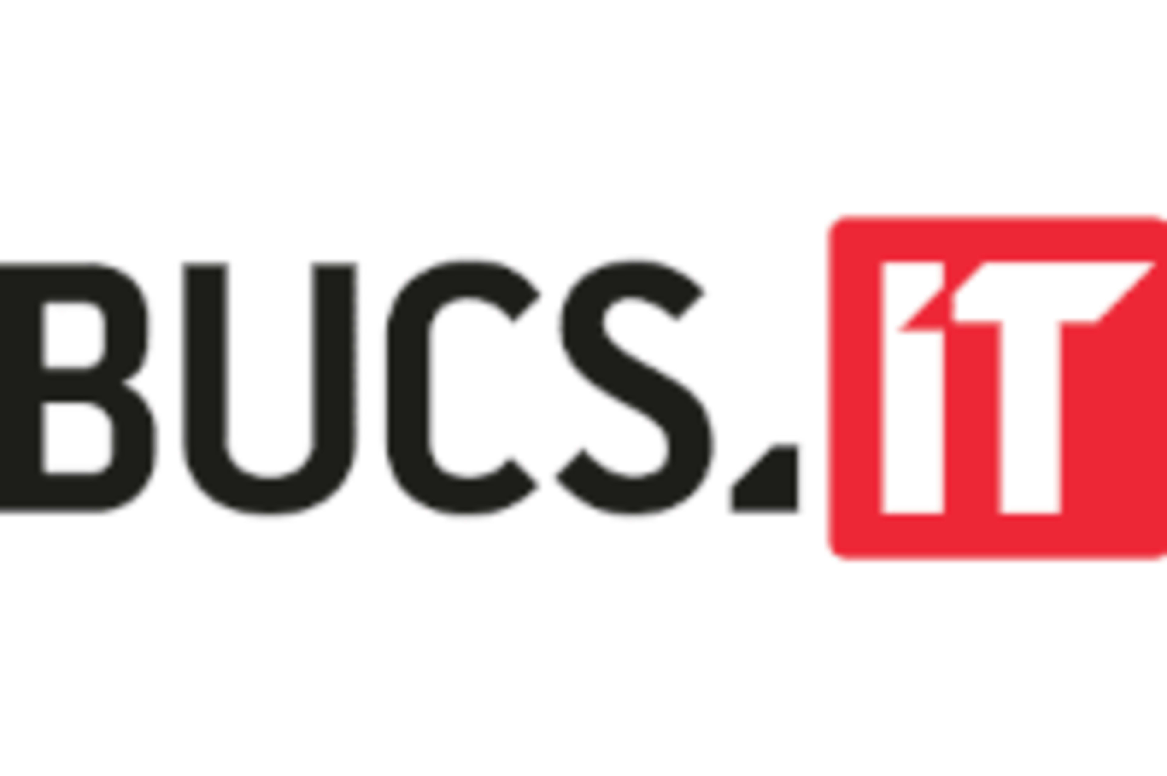 BUCS IT GmbH logo