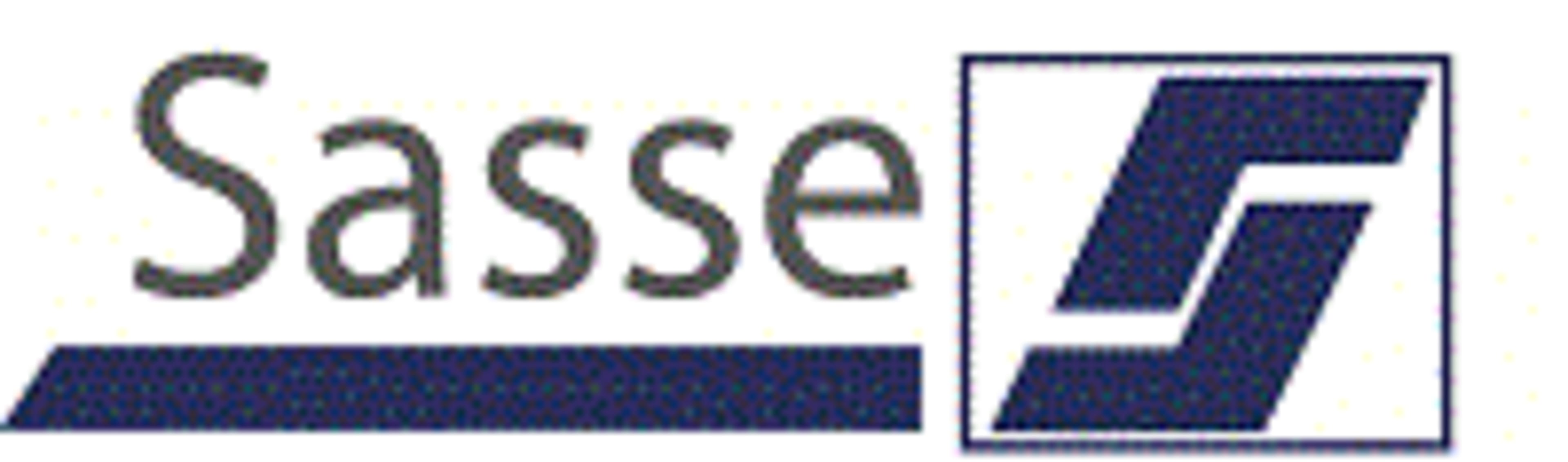 Dr. Sasse Gruppe logo