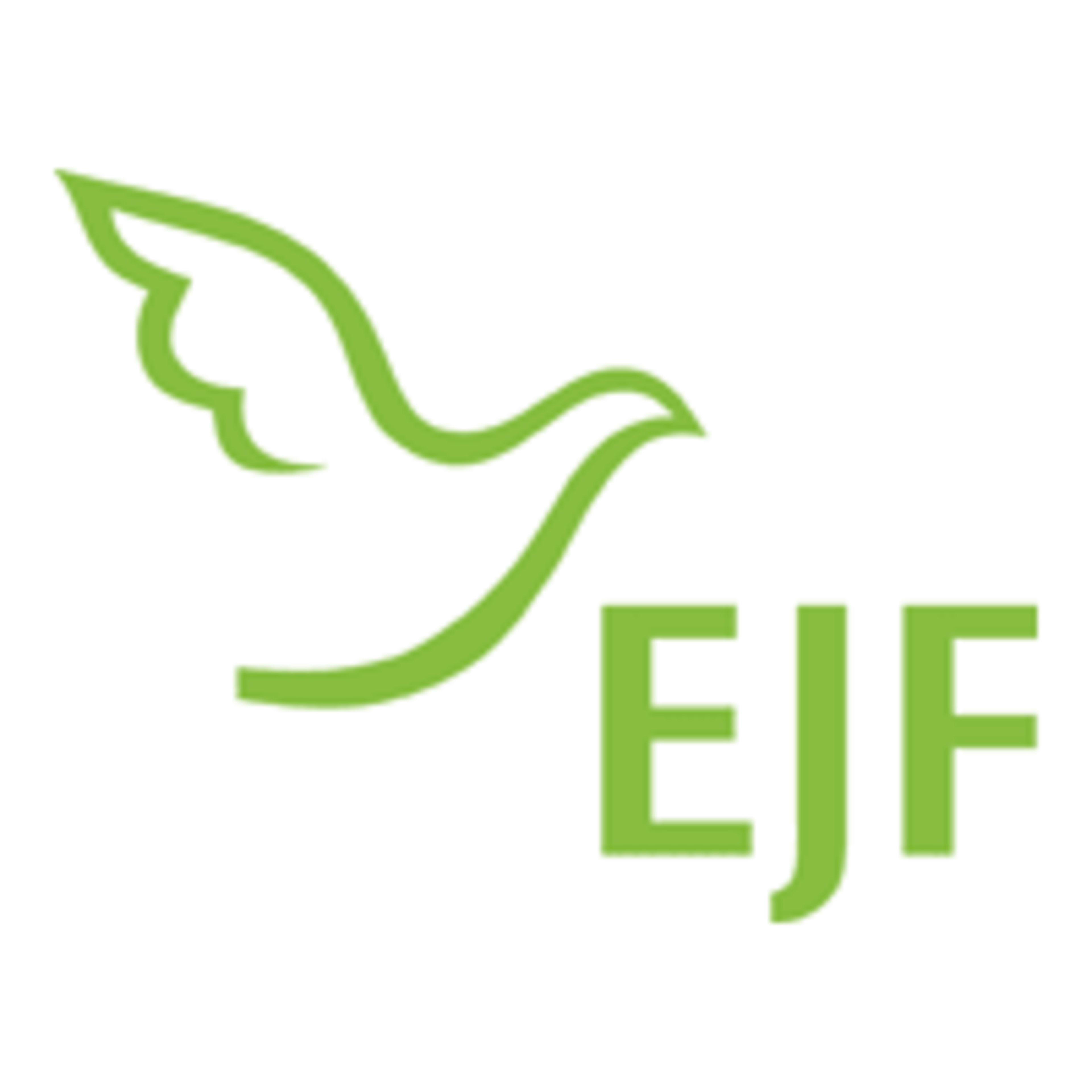 EJF gemeinnützige AG logo