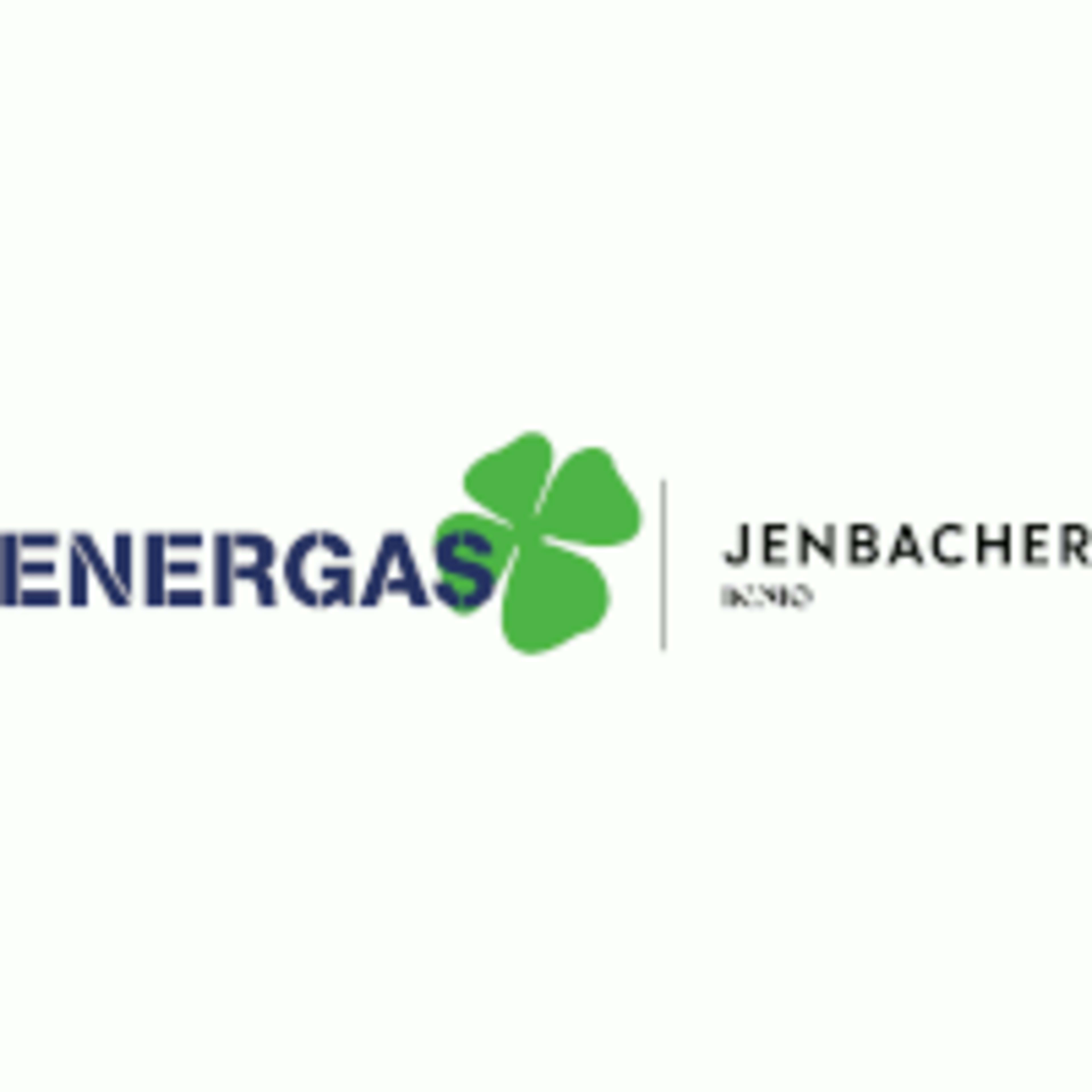 Energas BHKW GmbH logo