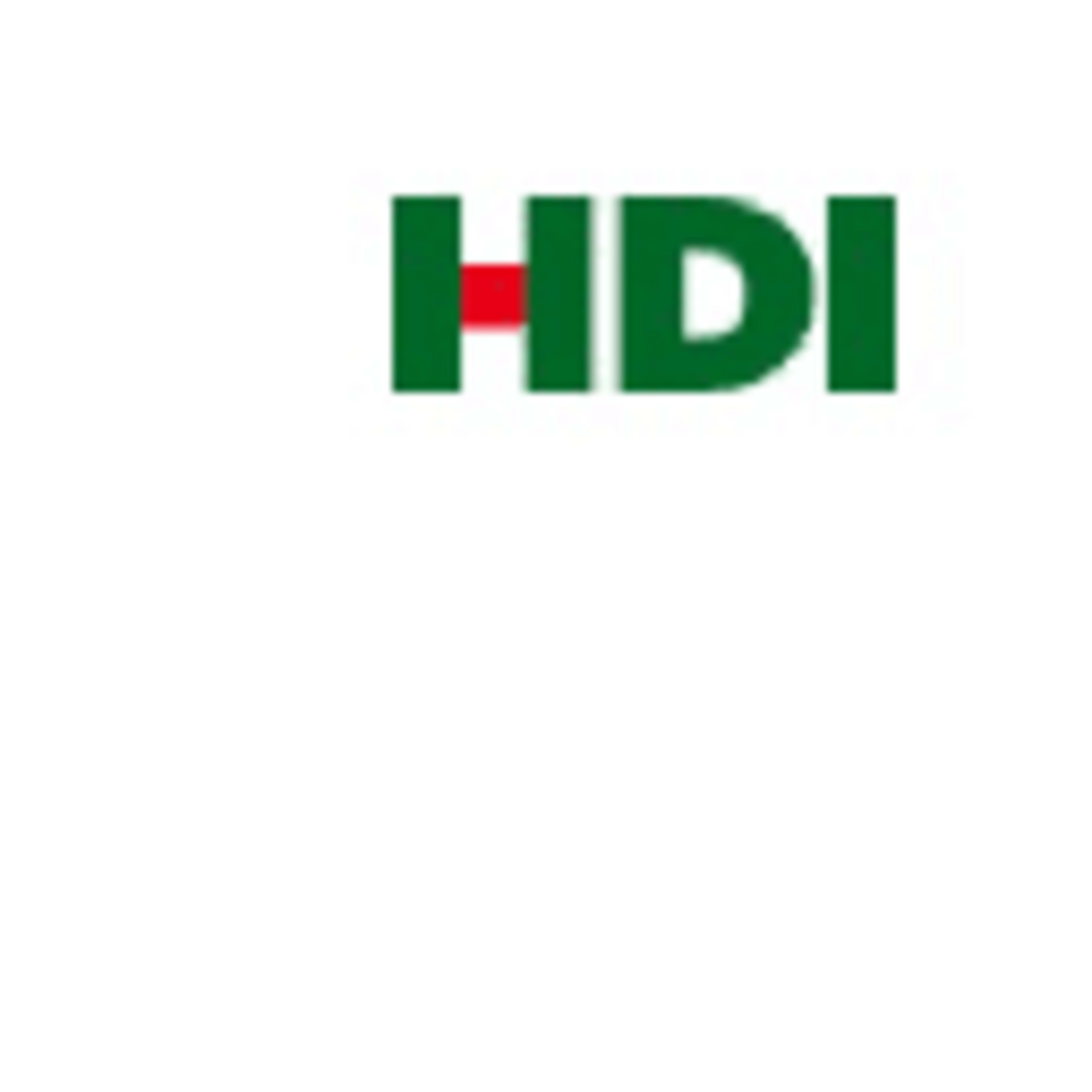 HDI AG logo