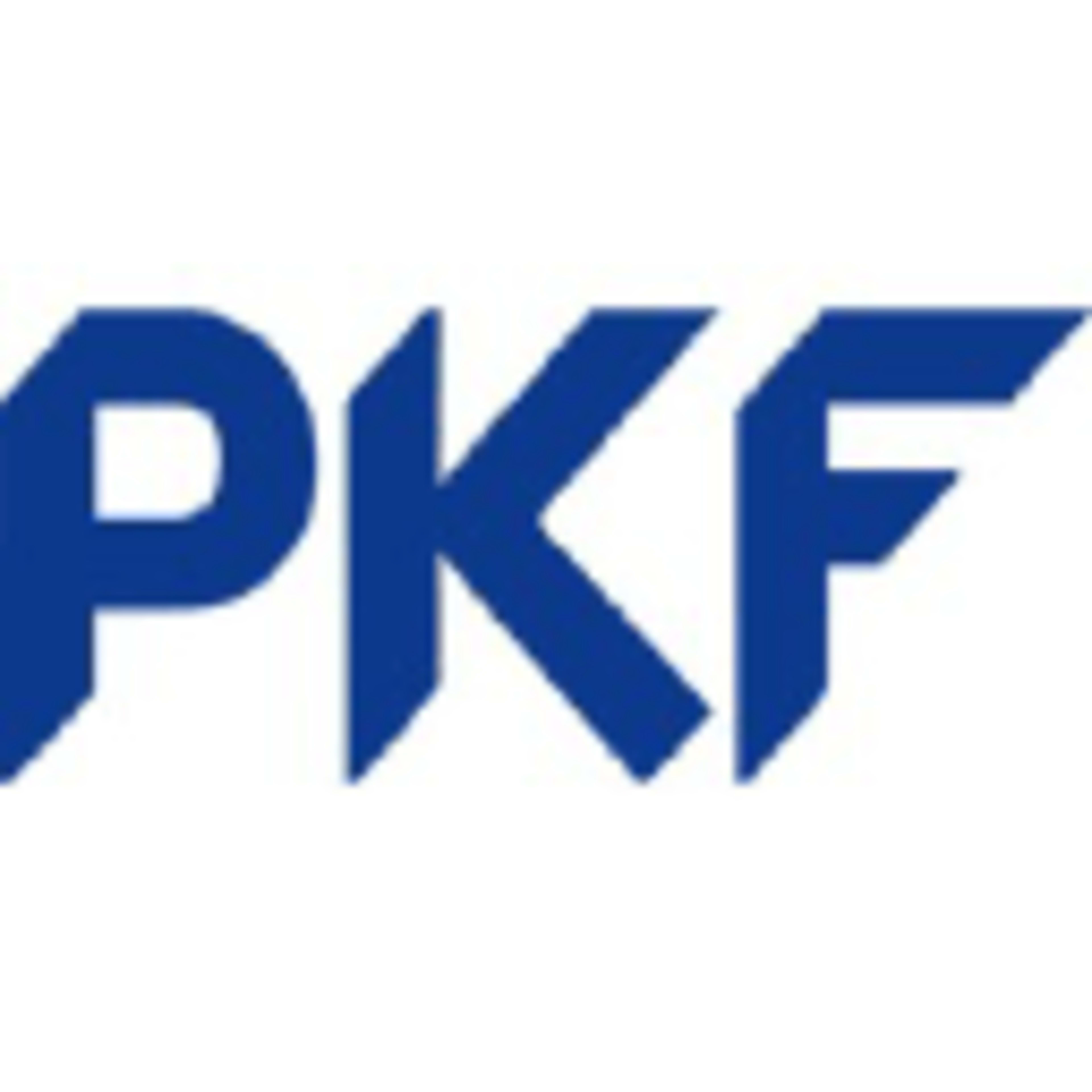 PKF Fasselt Partnerschaft mbB logo