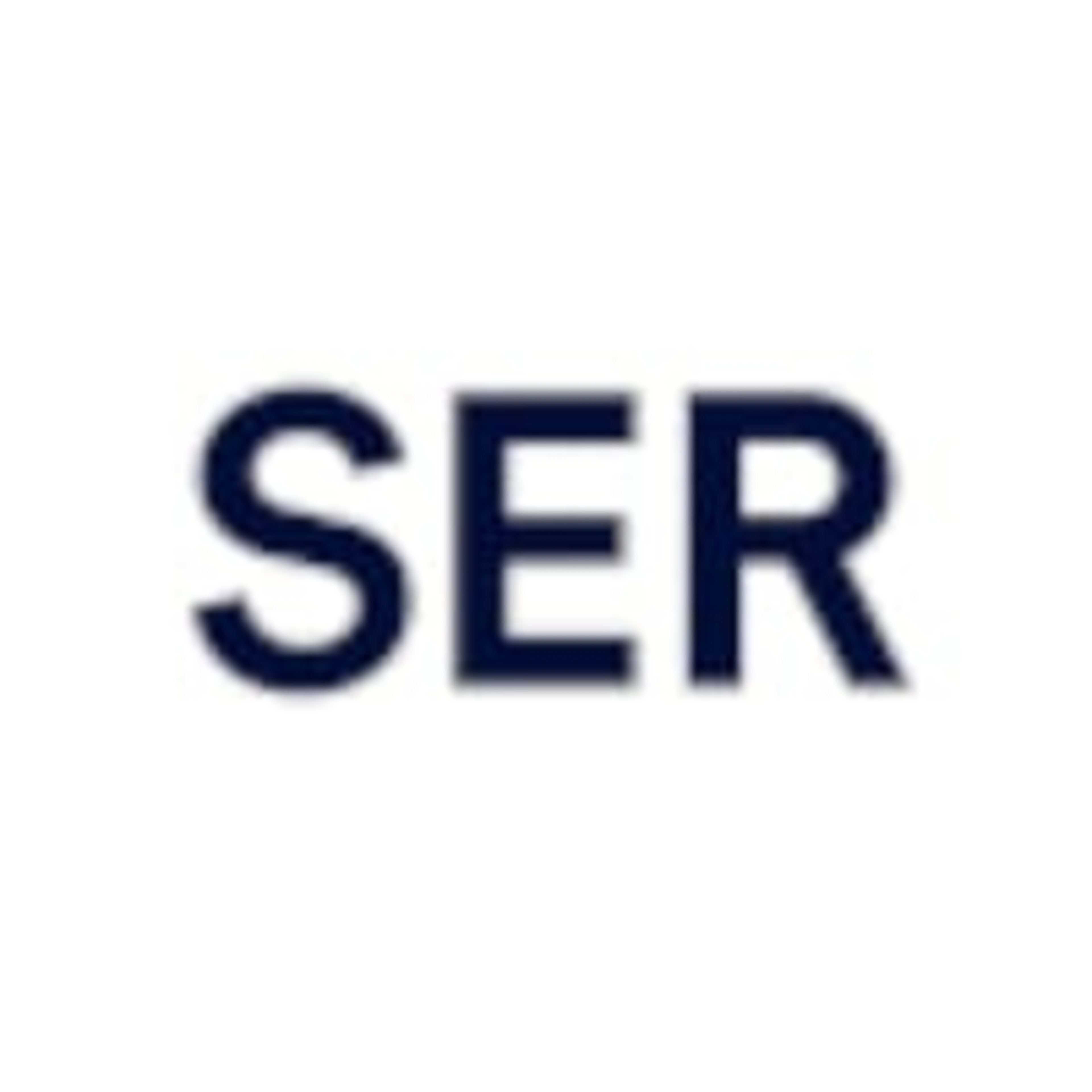 SER Solutions Deutschland GmbH logo