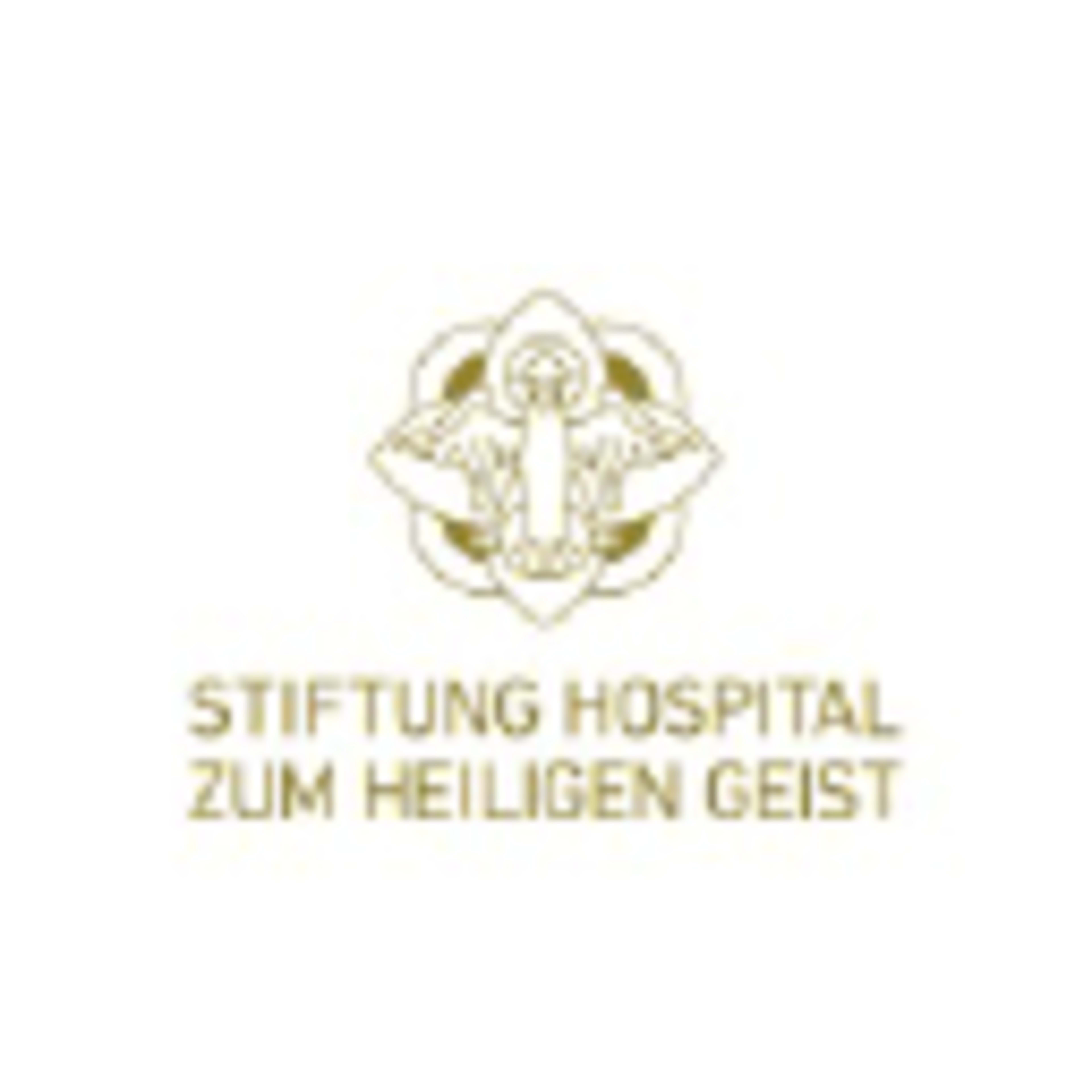 Stiftung Hospital zum Heiligen Geist logo