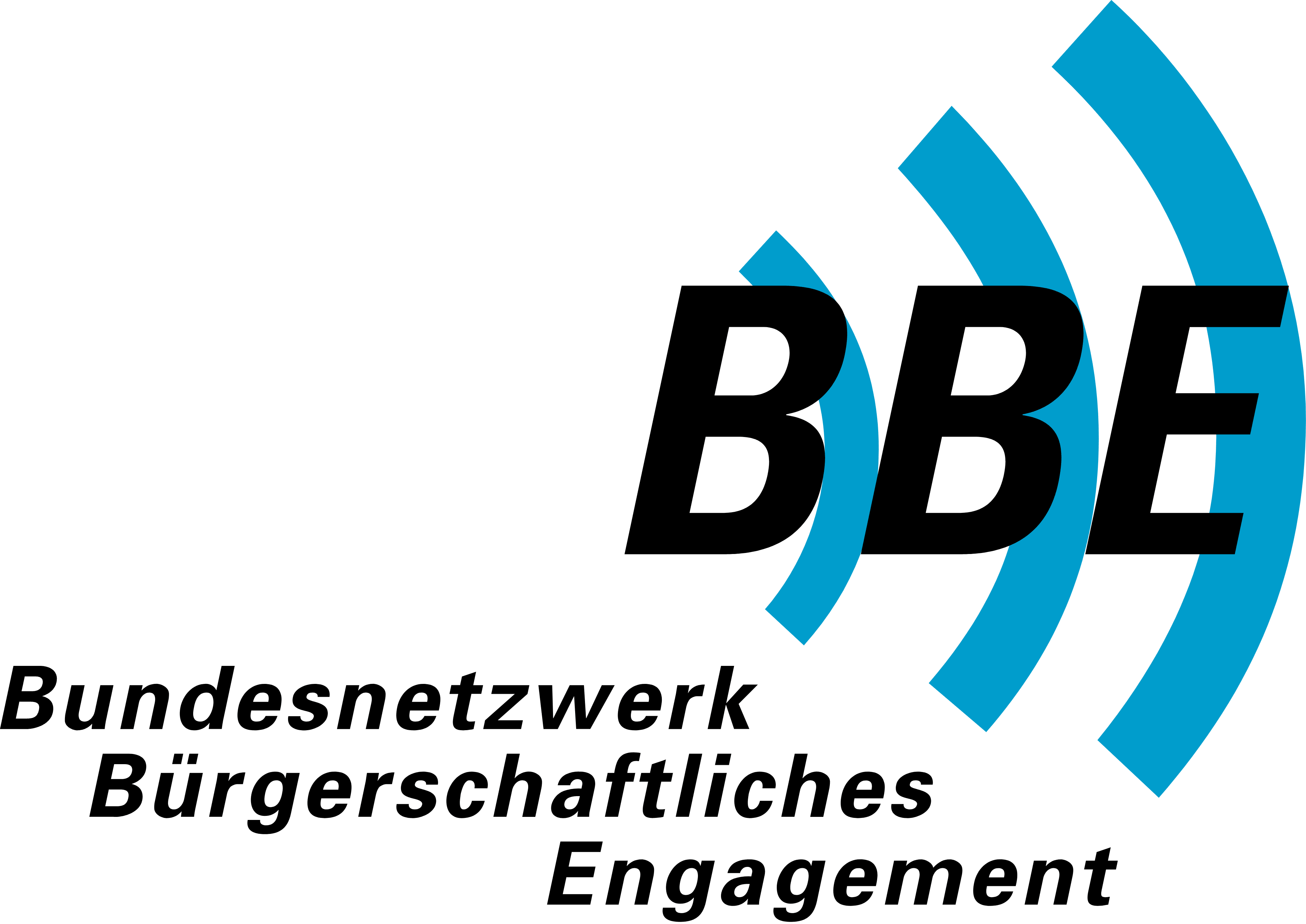 Bundesnetzwerk Bürgerschaftliches Engagement logo