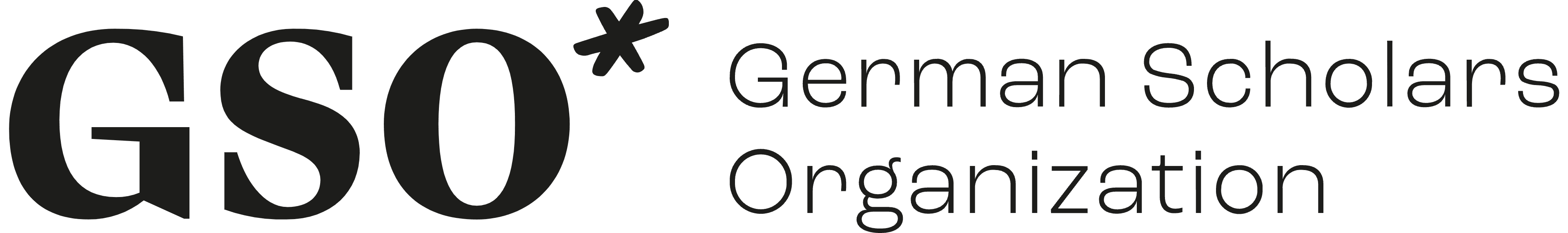 German Scholar Organization logo